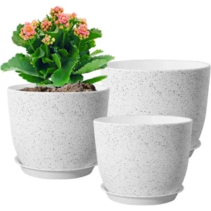 🌿 Modern flower pots - perfect for showcasing your plants! 🪴